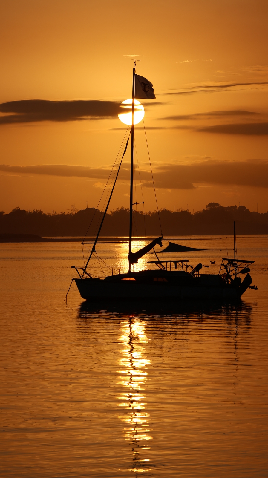 Broadie (2 Feb&nbsp;26)